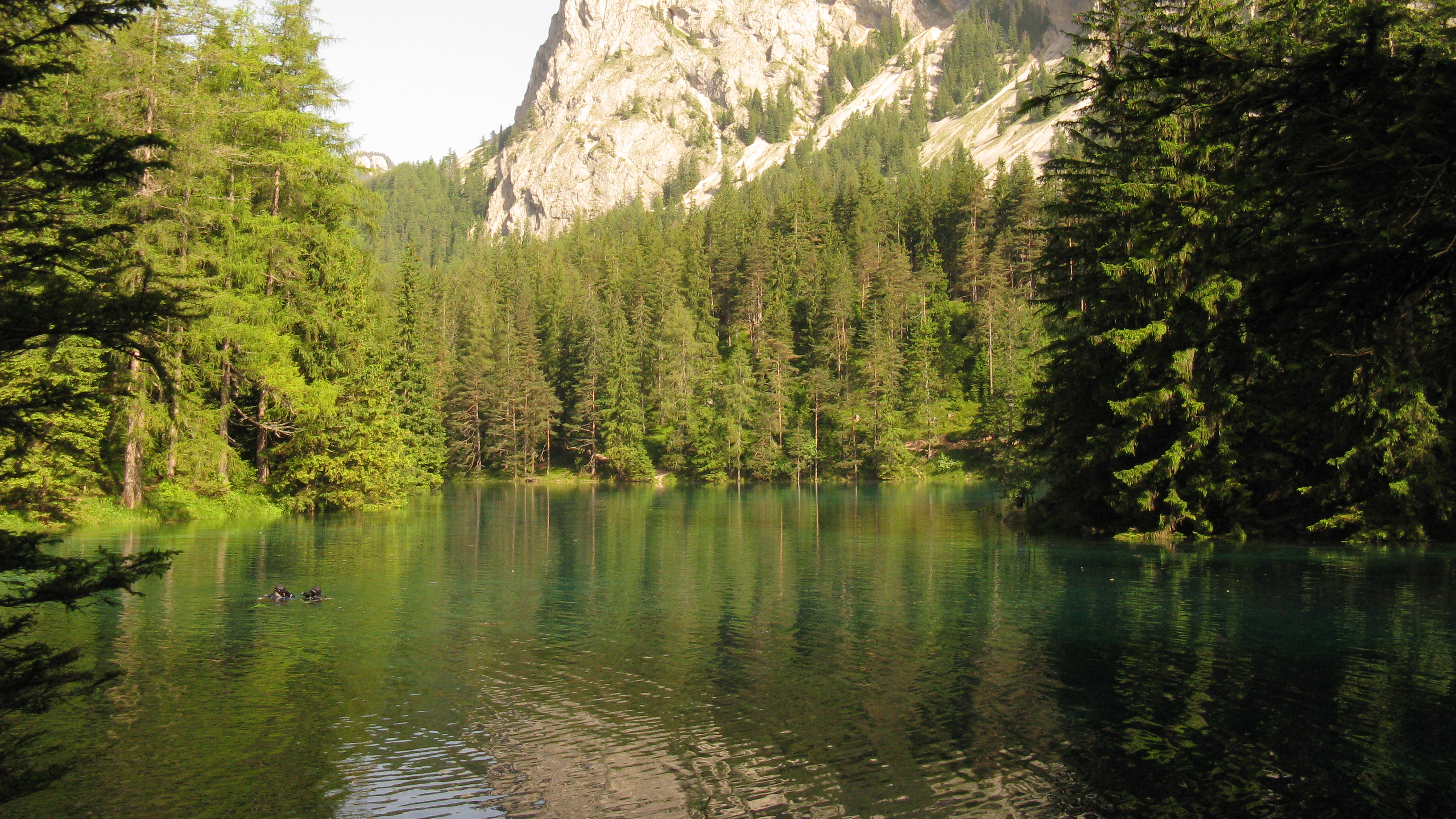 Der Grüne See in Tragöß in der Steiermark, welcher in Mitten der Berge liegt und von Wald umrandet ist.